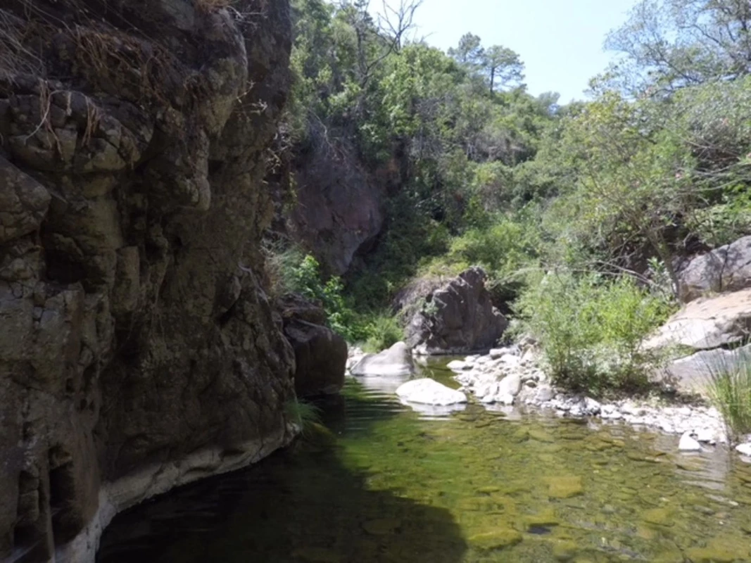 5-3595ad71cbd87be6c3643a4285ef4791