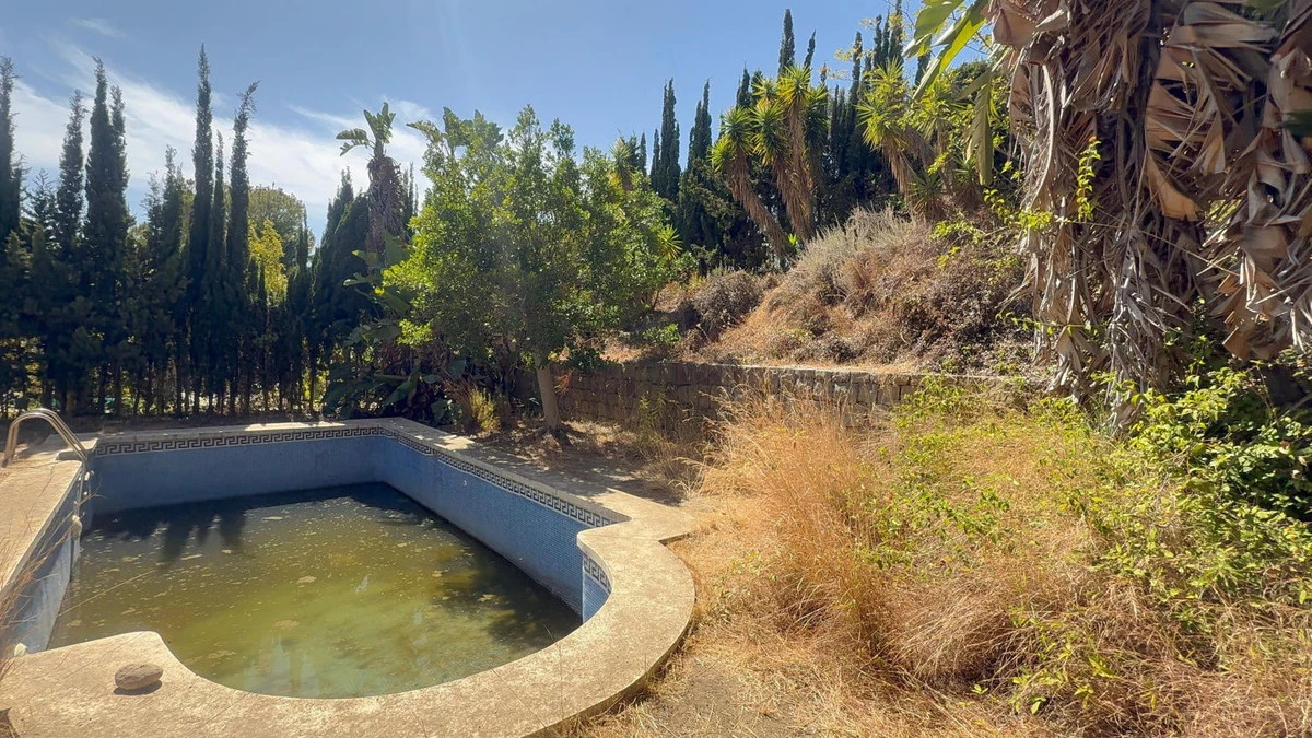 8-e64a9055bba3e77ac8aca3b893cdf826