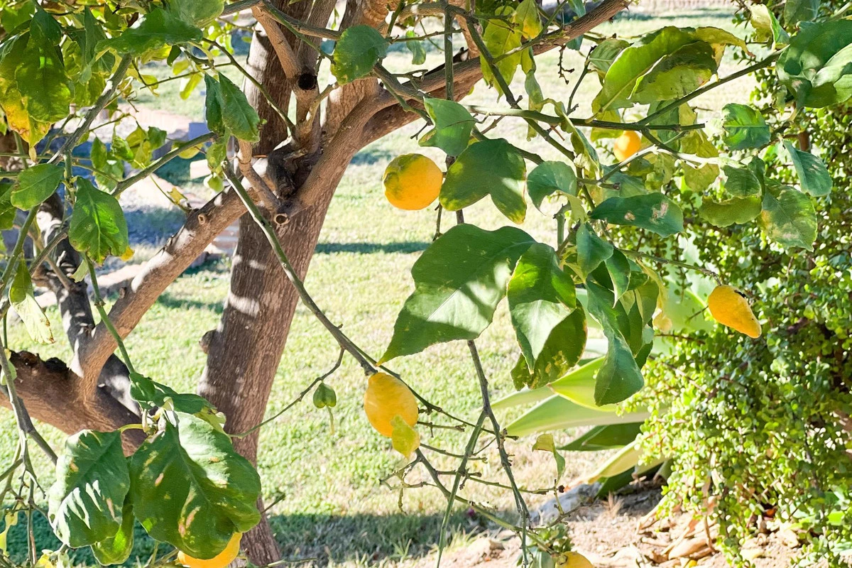 3-e898b2bb2a2fdfd06d2c39894dce8316