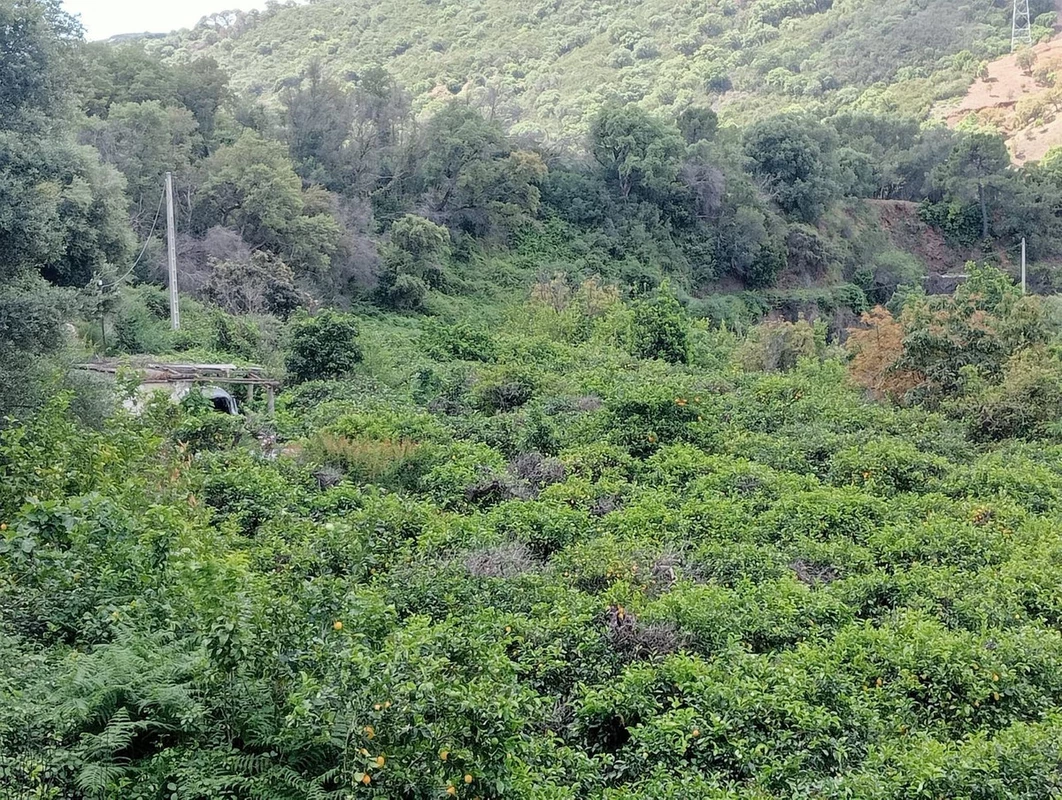 2-5bd7b9d04b45e33852eaf0ec6670150d