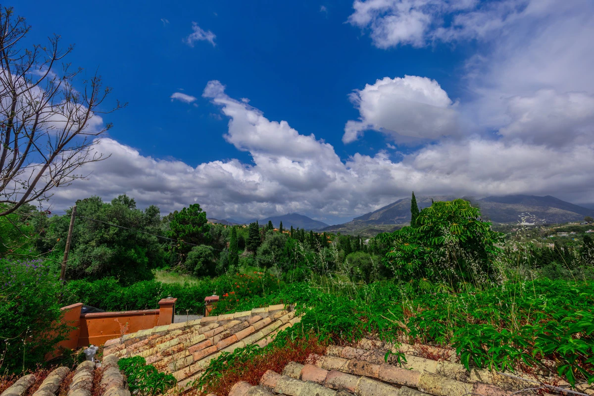 4-c23c0f86247804fa50226aecd8b0b2c8