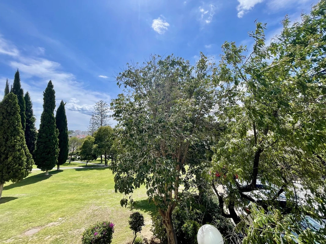 8-e64a9055bba3e77ac8aca3b893cdf826