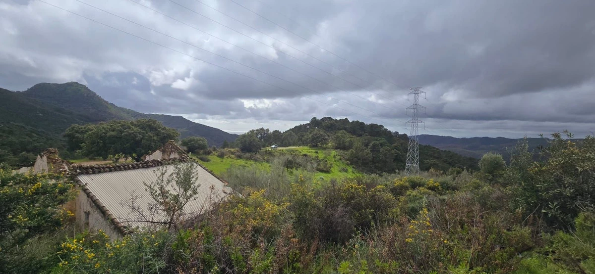 4-c23c0f86247804fa50226aecd8b0b2c8