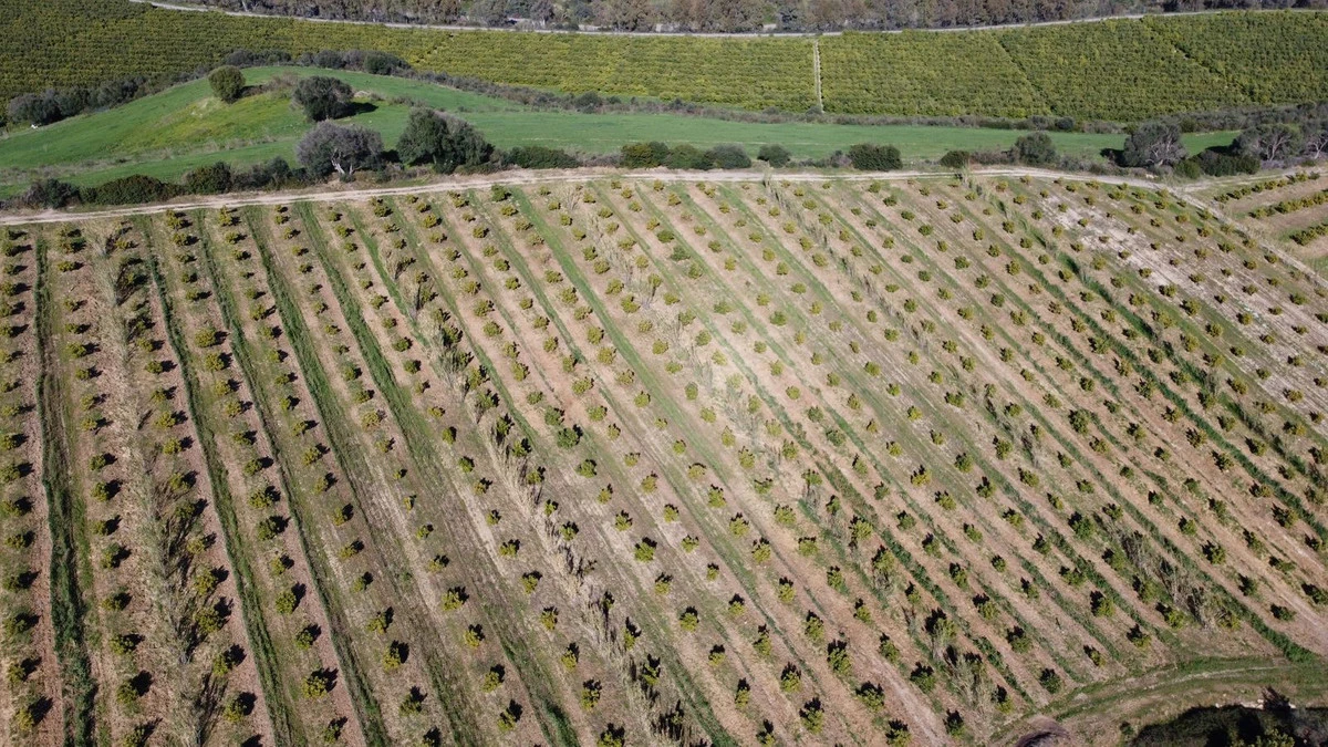 6-241328e1bcc9c0d8ce1222beb6c967a8