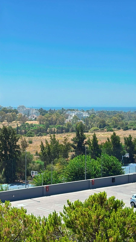 8-e64a9055bba3e77ac8aca3b893cdf826