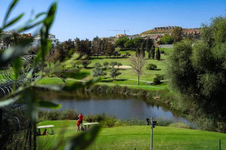 1-7980e48d732b6fc85c14b43b94d2aa54