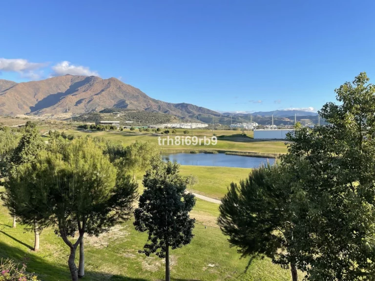 1-7980e48d732b6fc85c14b43b94d2aa54