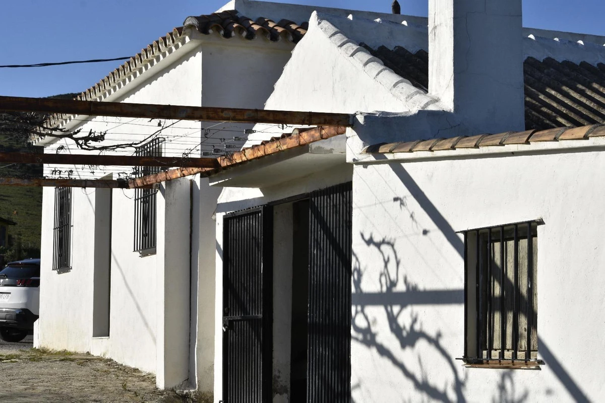 4-c23c0f86247804fa50226aecd8b0b2c8