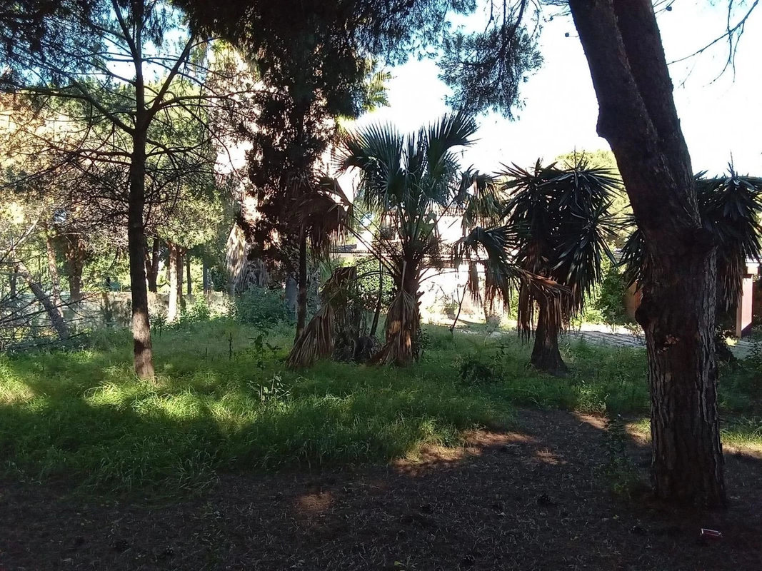 8-e64a9055bba3e77ac8aca3b893cdf826