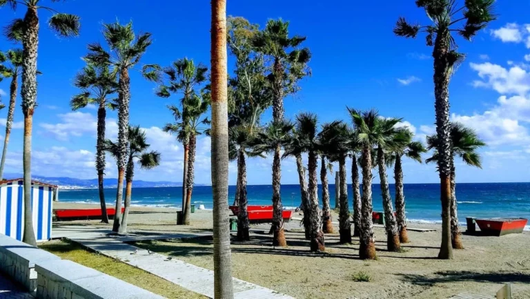 1-7980e48d732b6fc85c14b43b94d2aa54