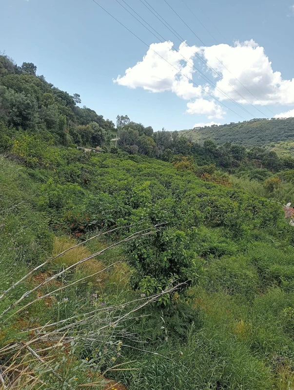 4-c23c0f86247804fa50226aecd8b0b2c8